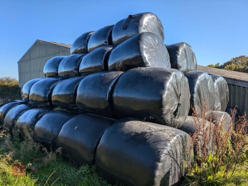45 WRAPPED ROUND BALES OF 2024 HAYLAGE - BIDS PER BALE