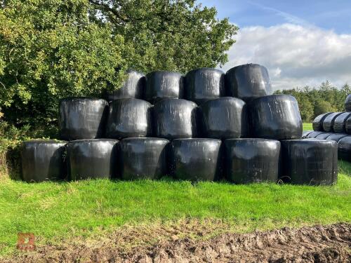 87 BALES OF 2025 1ST CUT SILAGE - BIDS PER BALE