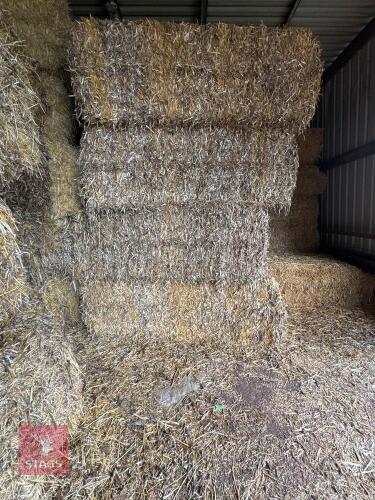 30 BALES OF 2025 BEAN STRAW - BIDS PER BALE