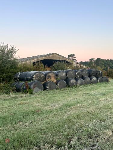 60 WRAPPED ROUND BALES OF 2023 HAYLAGE - BIDS PER BALE