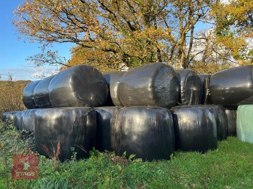 20 ROUND BALES OF 1ST CUT 2024 HAYLAGE - BIDS PER BALE