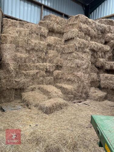 25 CONVENTIONAL BALES OF 2025 HAY - BIDS FOR THE GROUP