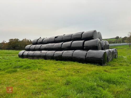 83 BALES OF 2025 2ND CUT SILAGE - BIDS PER BALE