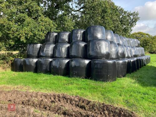 87 BALES OF 2025 1ST CUT SILAGE - BIDS PER BALE
