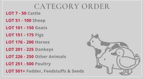 SOUTH WEST SALE LOT CATEGORIES