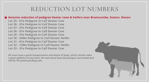 REDUCTION LOT NUMBERS