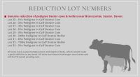 REDUCTION LOT NUMBERS