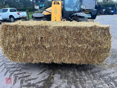 20 X 4 STRING BALES OF OAT STRAW - BIDS PER BALE