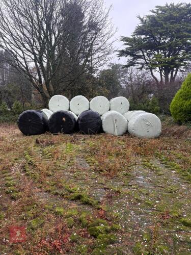 34 ROUND BALES OF 2024 HAY - BIDS PER BALE