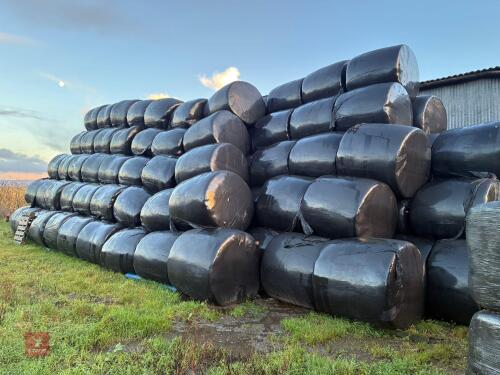 50 ROUND BALES OF 2025 SILAGE/HAYLAGE - BIDS PER BALE