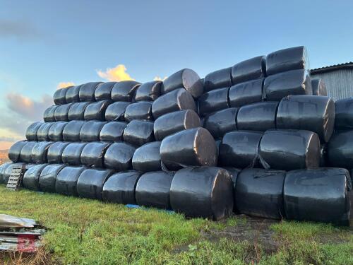 50 ROUND BALES OF 2025 SILAGE/HAYLAGE - BIDS PER BALE