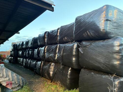 60 SQUARE BALES OF 2025 SILAGE - BIDS PER BALE