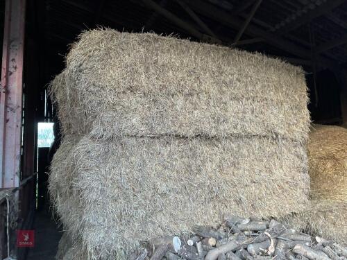 26 SQUARE BALES OF 2024 HAY - BIDS PER BALE