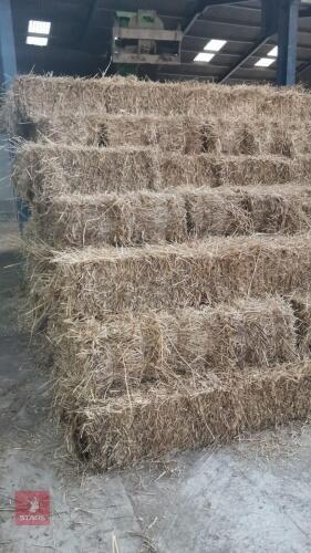 150 CONVENTIONAL BALES OF WHEAT/STRAW - BIDS FOR THE GROUP