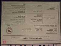 3YO PEDIGREE IN CALF DEXTER COW - 2