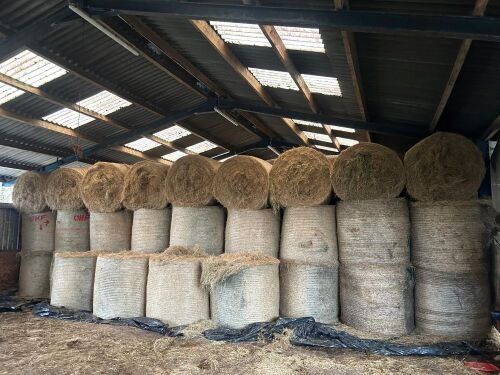 40 ROUND BALES OF 2025 HAY - BIDS PER BALE