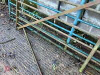 2 X METAL GATES - 10