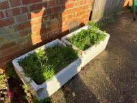 2 X BELFAST SINK PLANTERS - 3