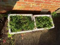 2 X BELFAST SINK PLANTERS - 6