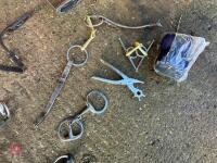 HORSE TACK AND SUNDRIES - 7