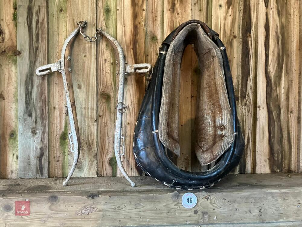 HORSE HAMES AND HEAD COLLAR