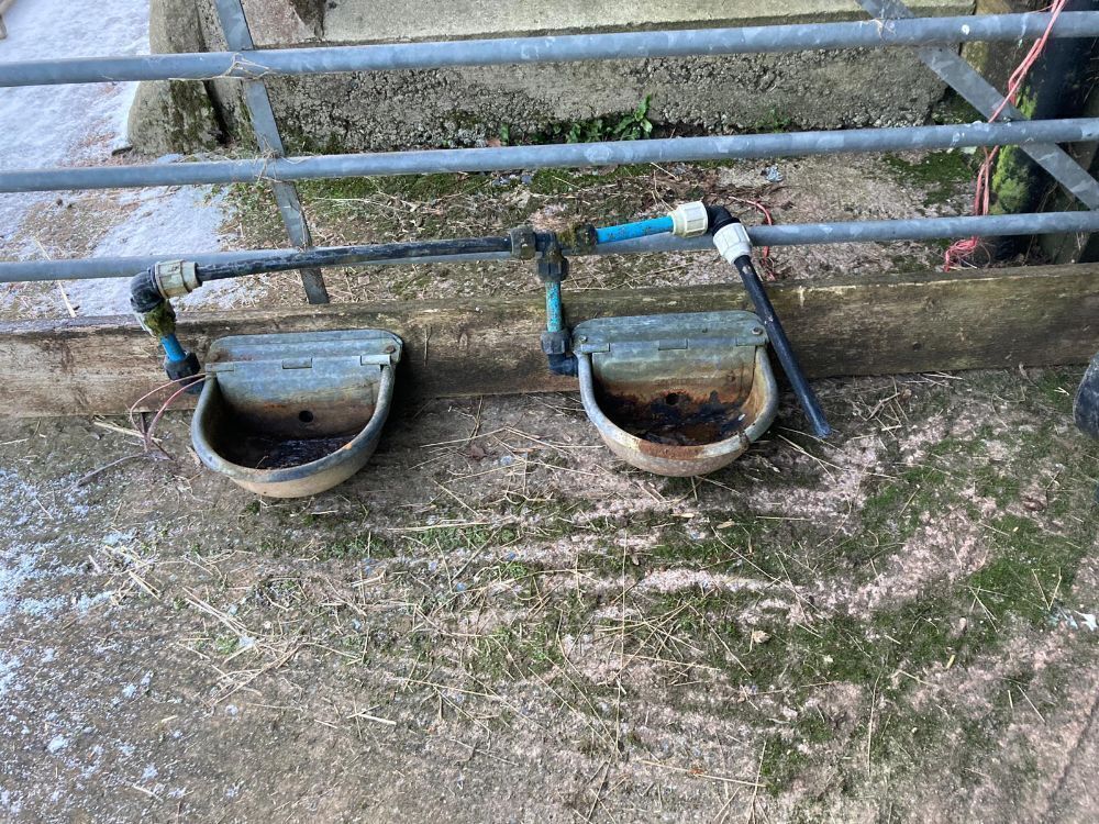 2 X SELF FEEDING WATER TROUGHS