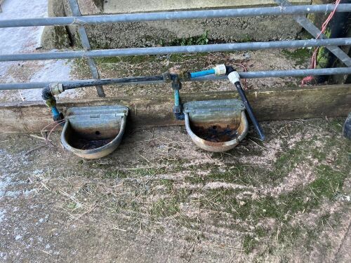 2 X SELF FEEDING WATER TROUGHS