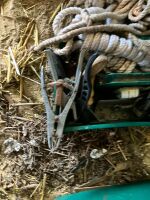 ANIMAL HUSBANDRY/SHOW ITEMS - 4