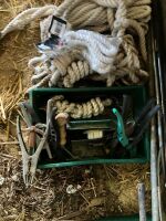 ANIMAL HUSBANDRY/SHOW ITEMS - 5