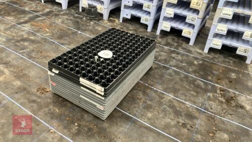 13 X 30MM SEED TRAYS