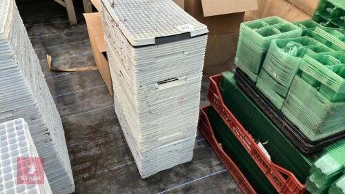 100 X 20MM PLUG TRAYS