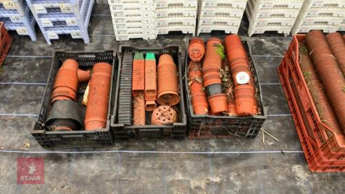 820 X MIXED PLANT POTS