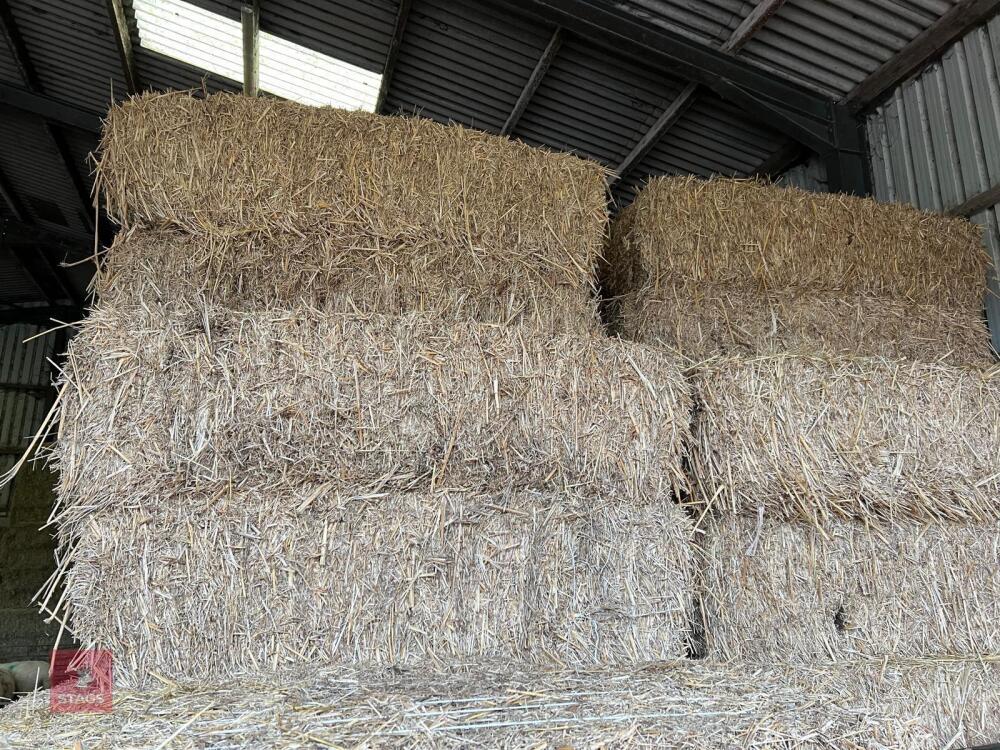 30 QUADRANT BALES OF MISCANTHUS STRAW - BIDS PER BALE