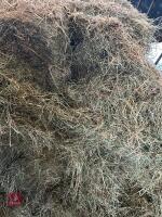 60 ROUND BALES OF 2025 HAY - BIDS PER BALE - 3