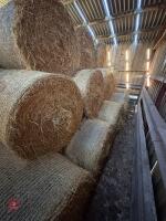 51 ROUND BALES OF 2025 HAY - BIDS PER BALE - 2