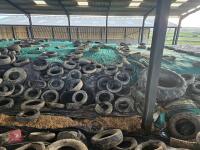 500T OF 2025 CLAMP GRASS SILAGE - BIDS PER TON - 7