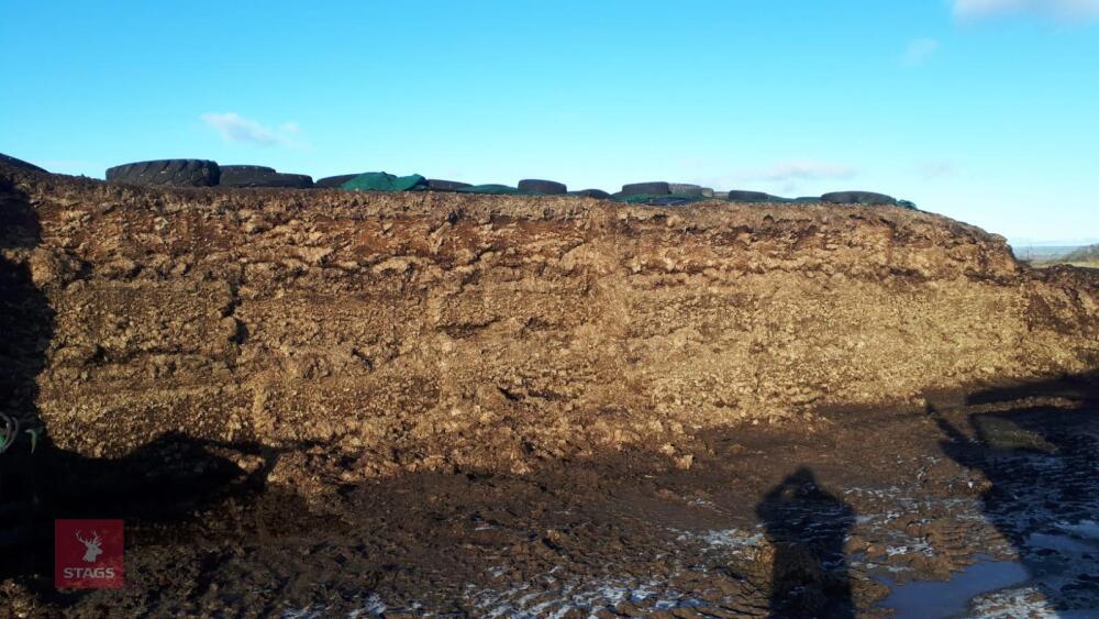 500T OF CLAMP GRASS SILAGE - BIDS PER TON