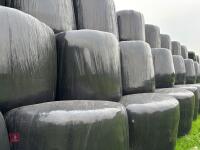 84 BALES OF 2025 1ST CUT SILAGE - BIDS PER BALE - 5