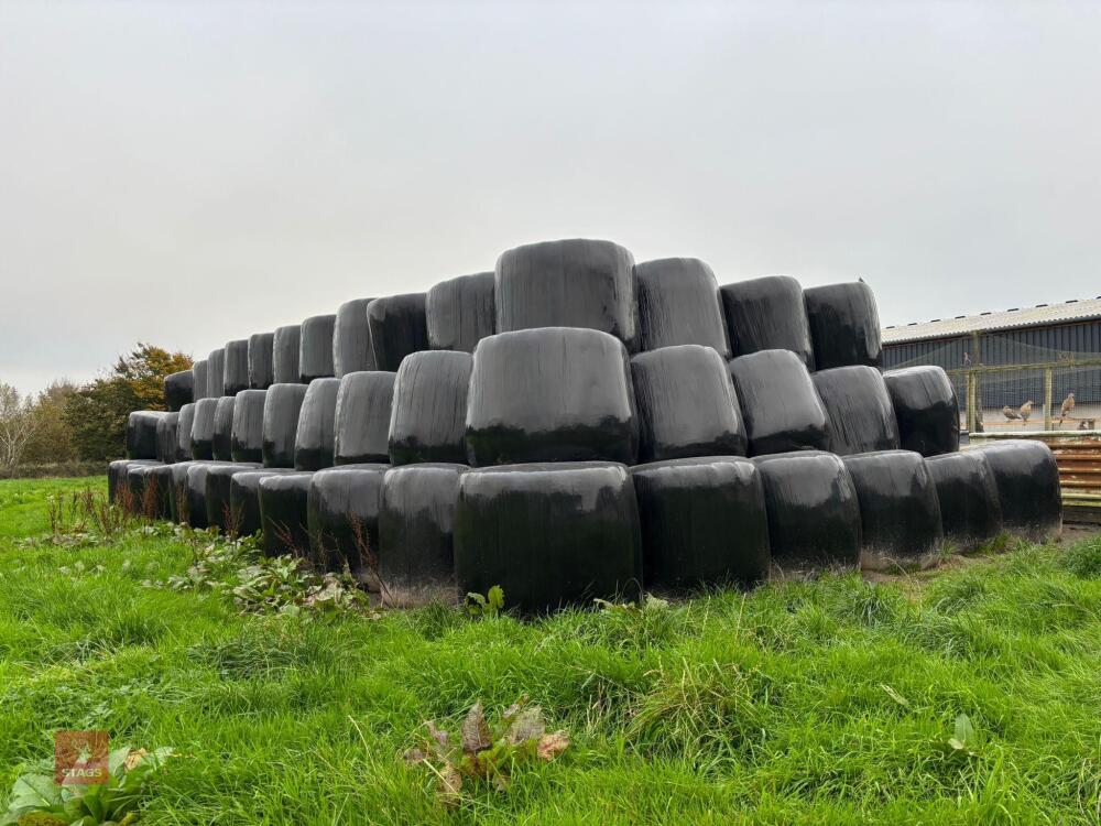 100 BALES OF 2025 1ST CUT SILAGE - BIDS PER BALE
