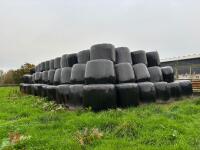 100 BALES OF 2025 1ST CUT SILAGE - BIDS PER BALE
