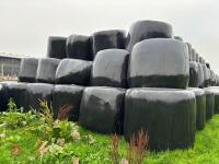 100 BALES OF 2025 1ST CUT SILAGE - BIDS PER BALE - 5