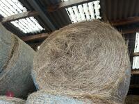 30 ROUND BALES OF 2025 HAY - BIDS PER BALE - 8