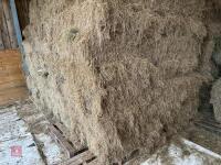 100 CONVENTIONAL BALES OF 2025 HAY - BIDS FOR THE GROUP - 2