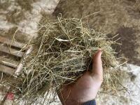 100 CONVENTIONAL BALES OF 2025 HAY - BIDS FOR THE GROUP - 4