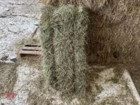 100 CONVENTIONAL BALES OF 2025 HAY - BIDS FOR THE GROUP - 8