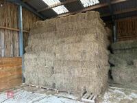 100 CONVENTIONAL BALES OF 2025 HAY - BIDS FOR THE GROUP
