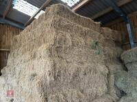 100 CONVENTIONAL BALES OF 2025 HAY - BIDS FOR THE GROUP - 7