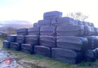 50 SQUARE BALES OF 2025 HAYLAGE - BIDS PER BALE
