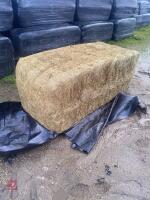 50 SQUARE BALES OF 2025 HAYLAGE - BIDS PER BALE - 2