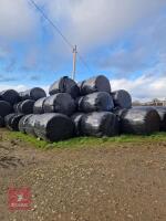 28 ROUND BALES OF 2025 2ND CUT SILAGE - BIDS PER BALE